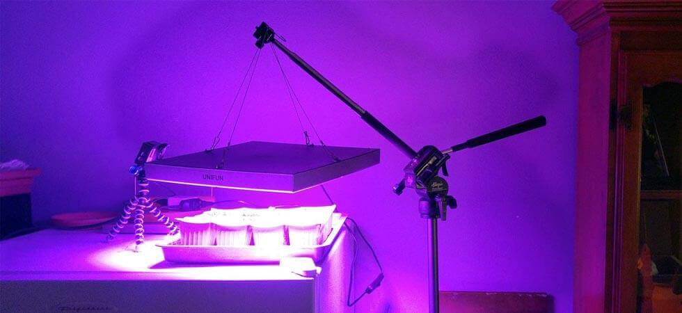 GREENHOUSE GROW LIGHTS: Choosing the best grow Light for efficient growing