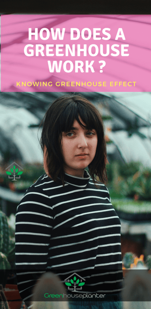 How does a greenhouse works