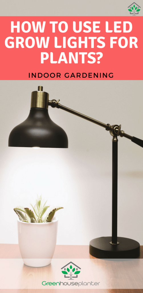 How to use LED Growlights for plants, indoor gardening