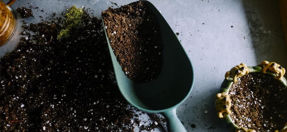 You should provide perfect soil for the plants which you are using in your greenhouse to make the plants grow faster and free from pests and diseases