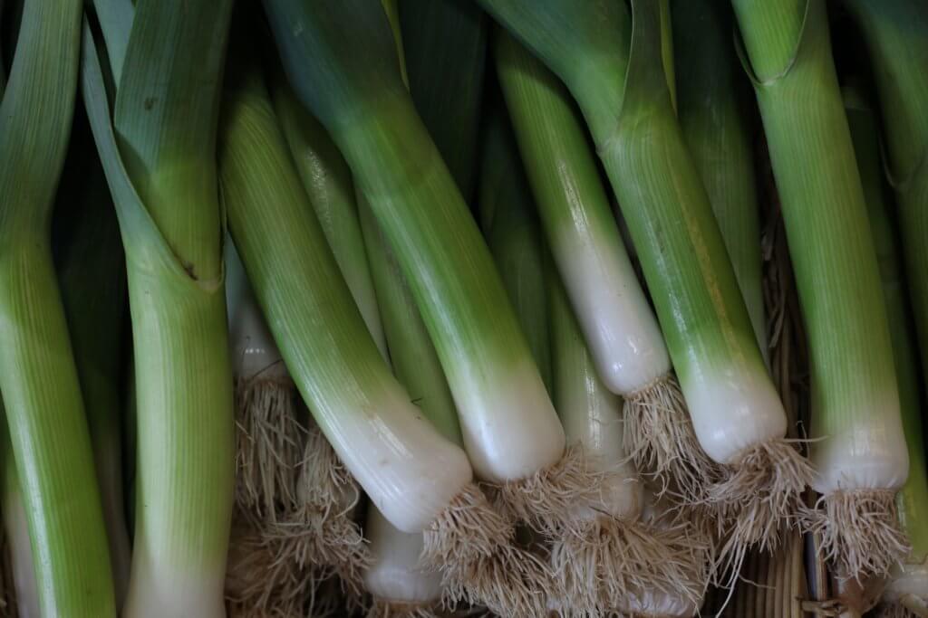 green onions crops. 15 most profitable high tunnel winter crops
