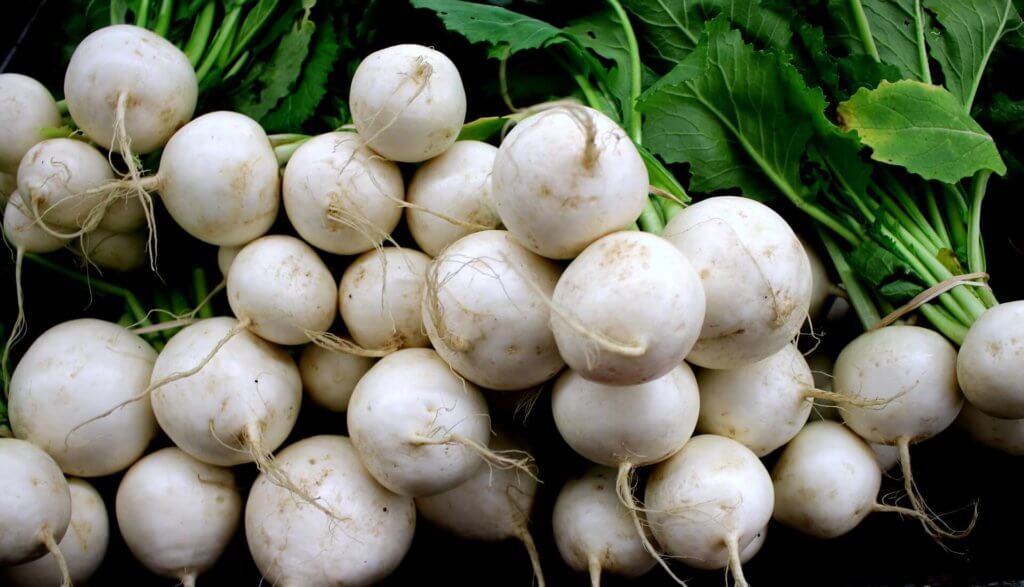 turnips greenhouse crops. 15 most profitable high tunnel winter crops