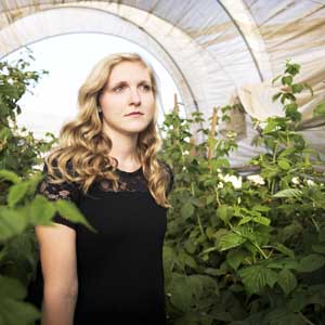 Why plants grow faster in a greenhouse?