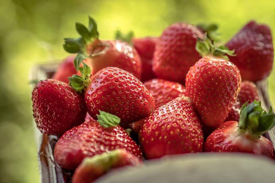 A beautify harvest of strawberries which are grown from seeds in pots