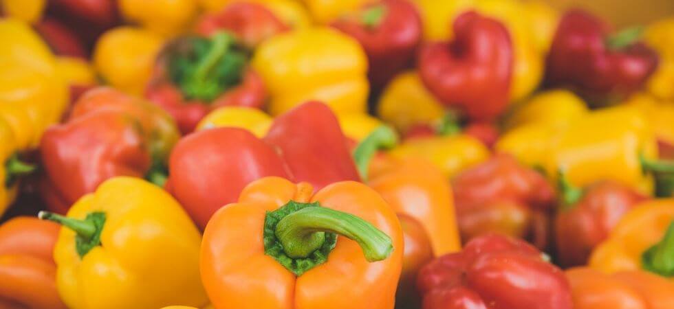 How to grow bell peppers in greenhouse, Greenhouse bellpeppers guide