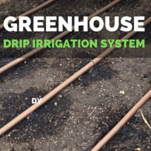 DIY Greenhouse Drip Irrigation System | DIY Greenhouse watering