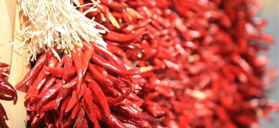 Drying Chili peppers for storing