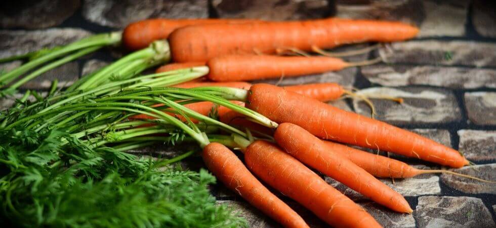 How to grow carrots inside your hoop house