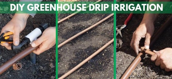 DIY Greenhouse Drip Irrigation System | DIY Greenhouse watering