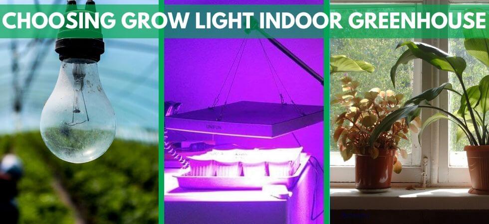 How to choose grow lights for indoor greenhouse