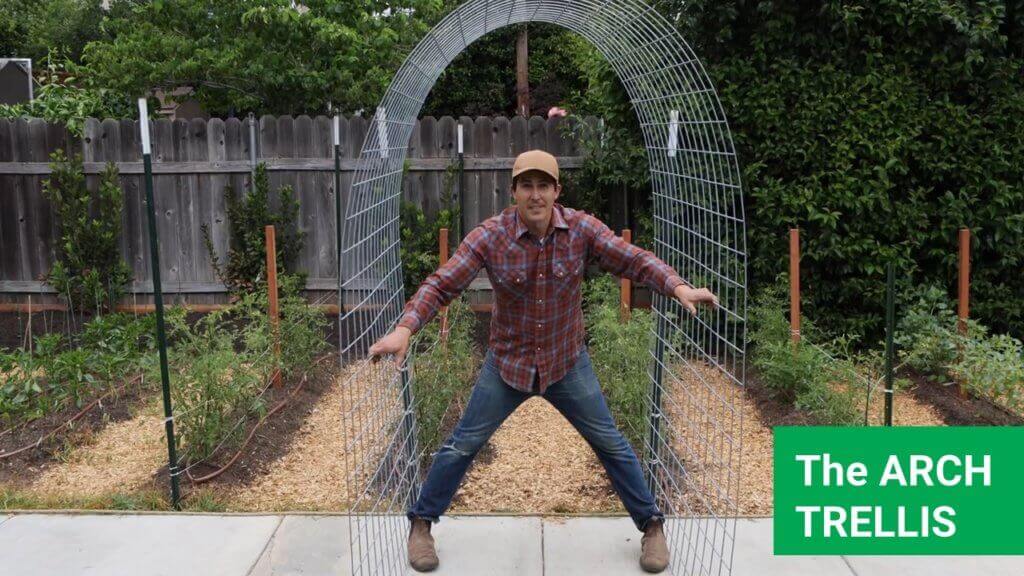 The arch trellis is perfect for growing tomatoes, squash and cucumbers