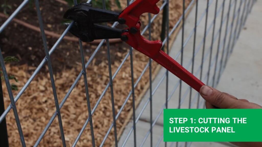 cutting the livestock fence using a cutter