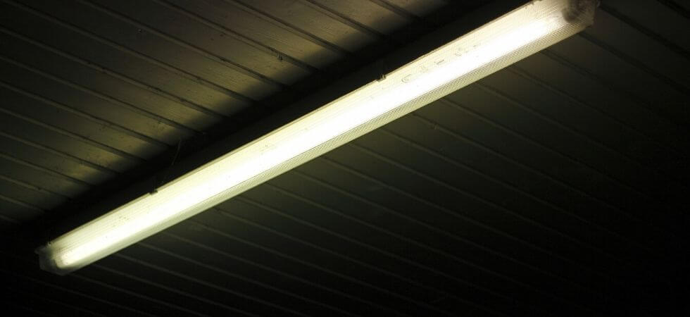 fluorescent lights can also be used for growing plants indoors