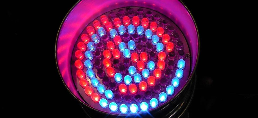 led grow lights are the best and the most recommended grow lights for growing plants grow lights for indoor greenhouse