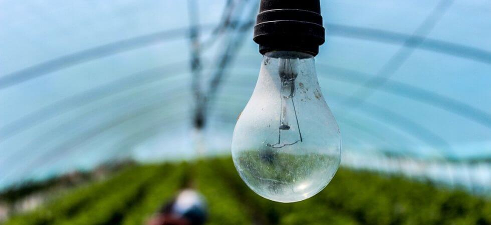 you can use incandescent bulbs for growing plants indoors,  grow lights for indoor greenhouse