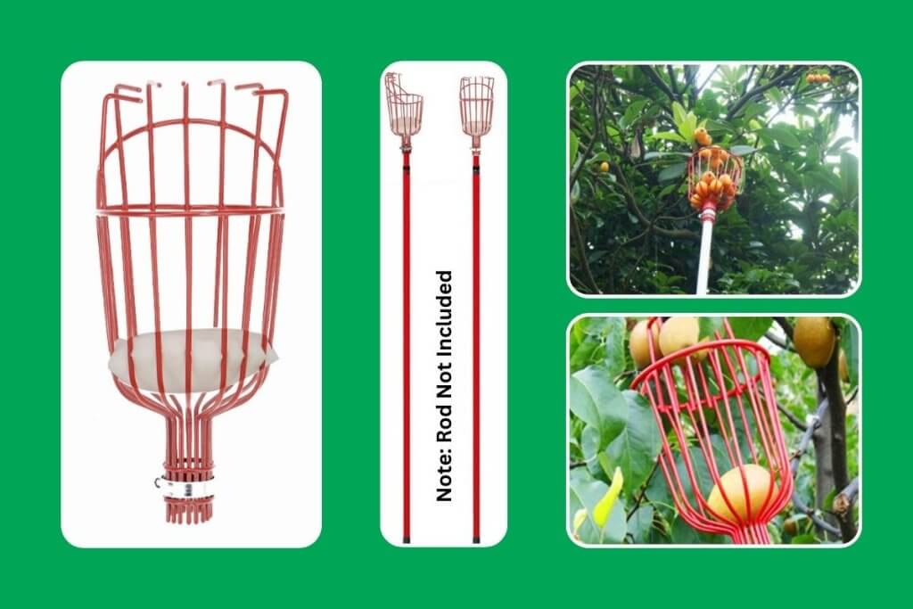 Effortless Fruit Picking Head with Deep Basket – Apple, Peach, Citrus, Pear, and More!