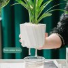 Self-Watering-Transparent-Hydroponic-Flowerpot-for-Effortless-Office-Elegance