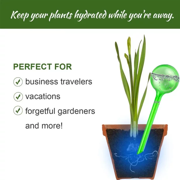 Smart Plant Care Plant Self-Watering Water Globes Set of 5
